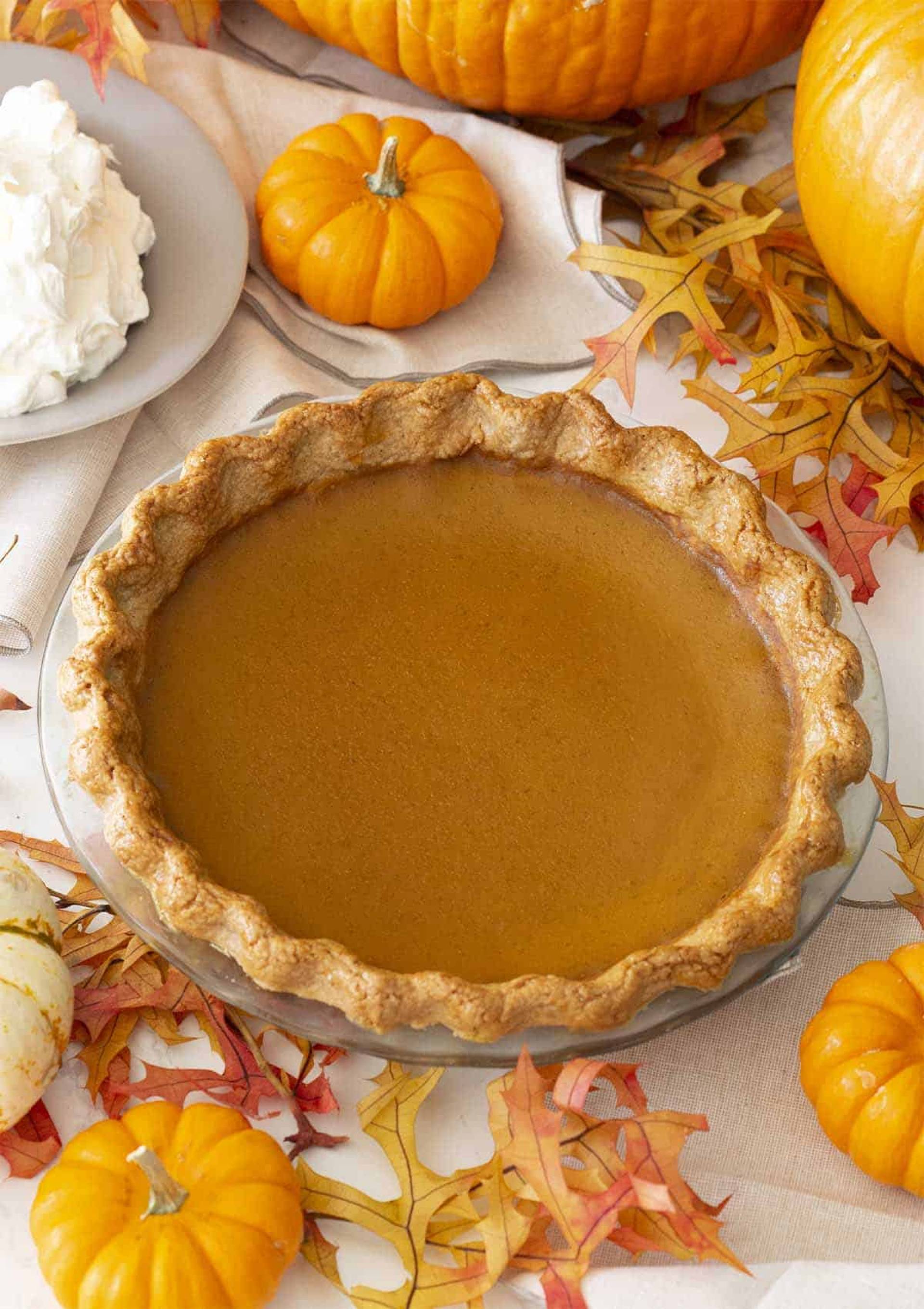 Pumpkin Pie